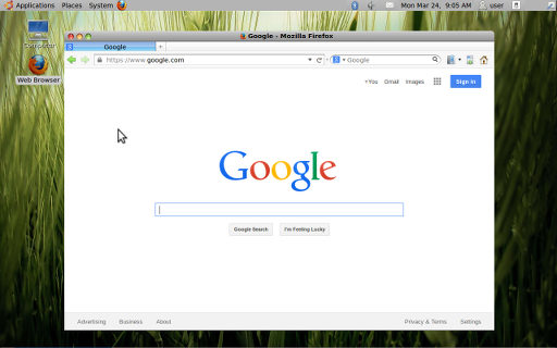 A view of the desktop, with a browser window open to Google, in "I Miss Aqua".