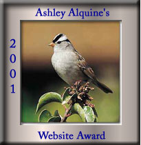 Ashley Alquine Website Award