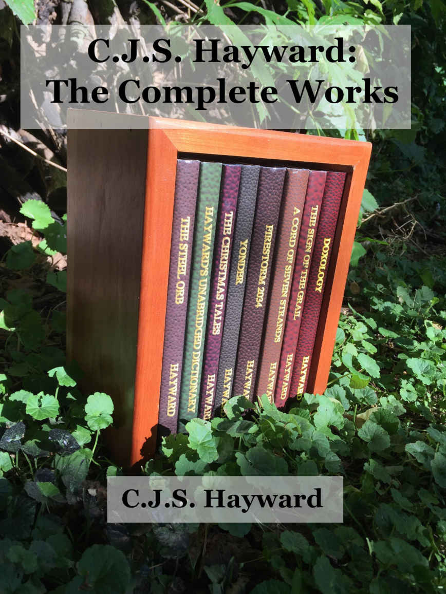The cover to CJS Hayward's "The Complete Works" collection