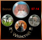 It's Wishcraft!!! Bronze Award